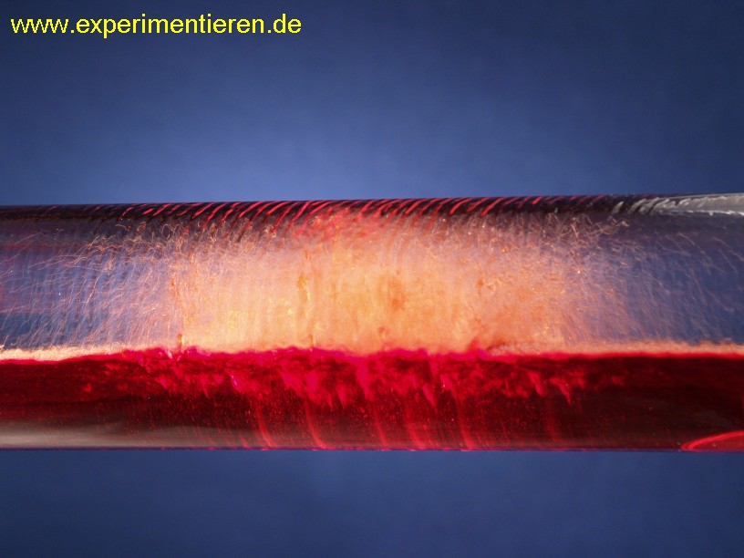 www.experimentieren.de